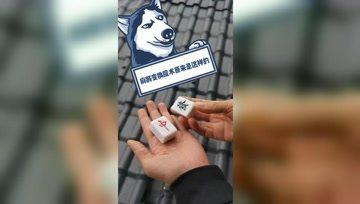 阿杰爆料包包视频,包包视频背后的惊人真相  第1张