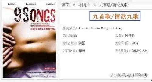 九首歌电影在线观看,穿越时空的旋律之旅  第3张